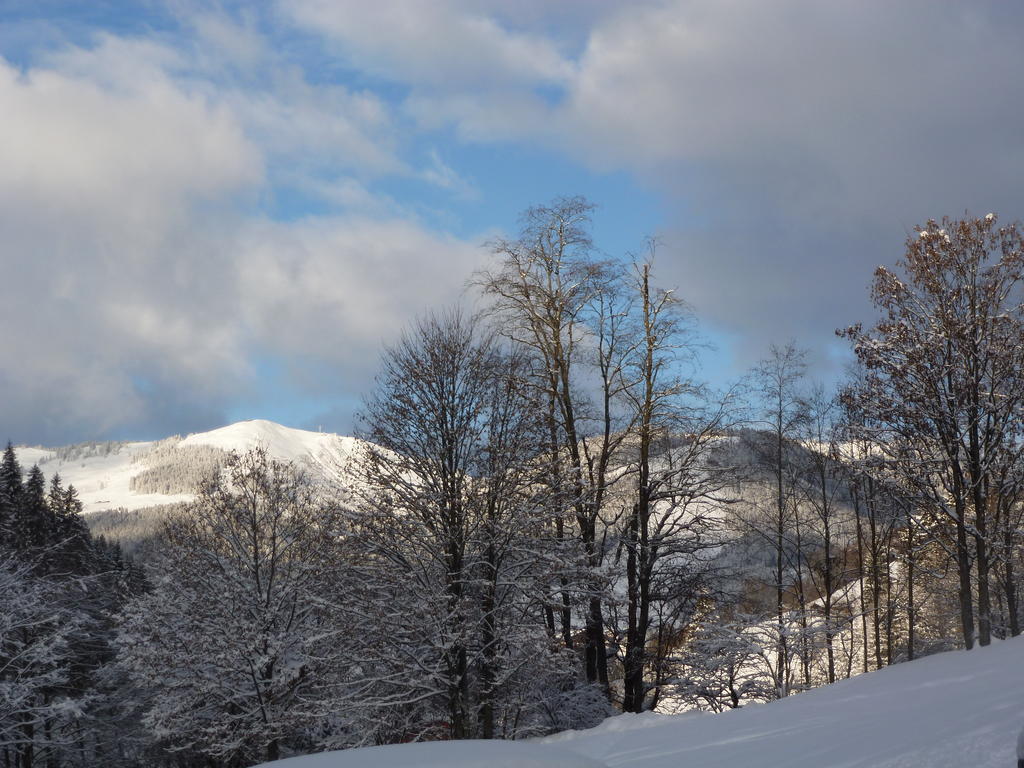Appartement Ripper Saalbach-Hinterglemm Zewnętrze zdjęcie
